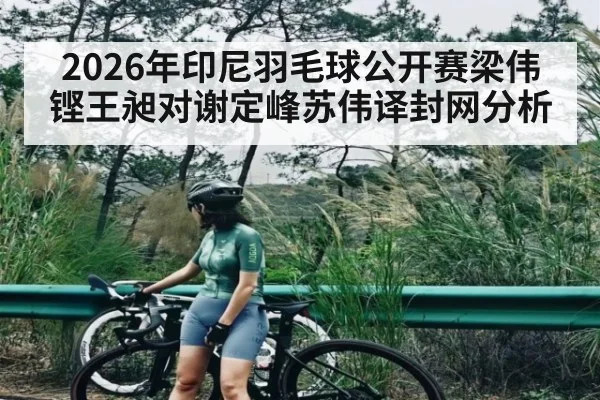 2026年印尼羽毛球公开赛梁伟铿王昶对谢定峰苏伟译封网分析